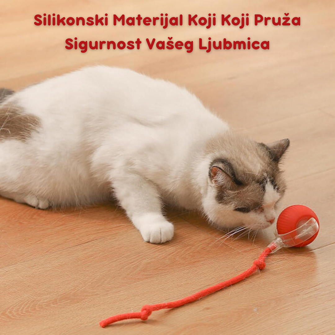 Pametna Interaktivna Loptica za Mačke