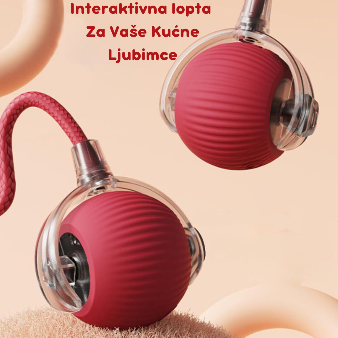 Pametna Interaktivna Loptica za Mačke