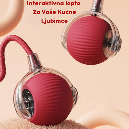 Pametna Interaktivna Loptica za Mačke